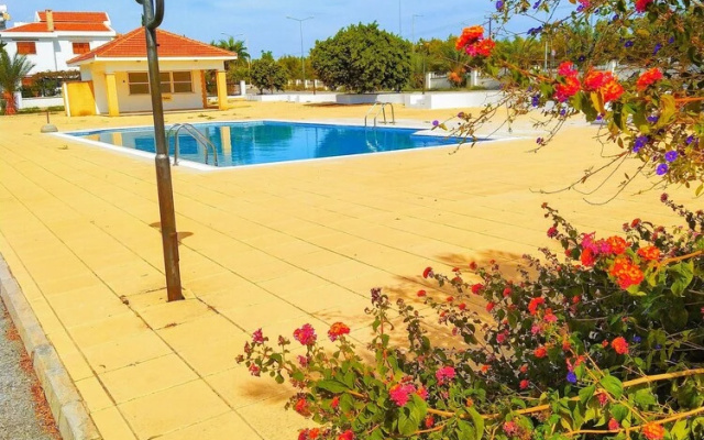 Salamina Houses