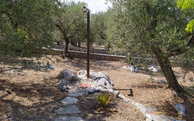 Il giardino di Mary