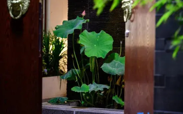 Lijiang · Cuiheyuan Green Peace Zen Retreat | Wellness | Courtyard-Style Hotel
