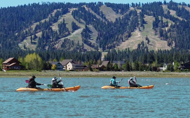 Cozy Bear Lodge A
