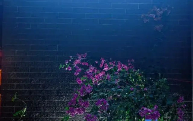 Xinxing Zen Town • Xianting Mandu Homestay