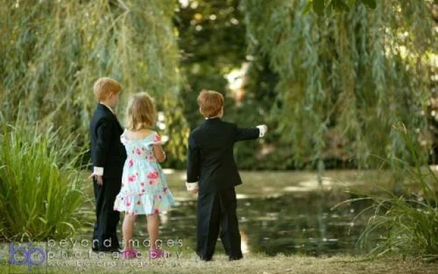 The Willows