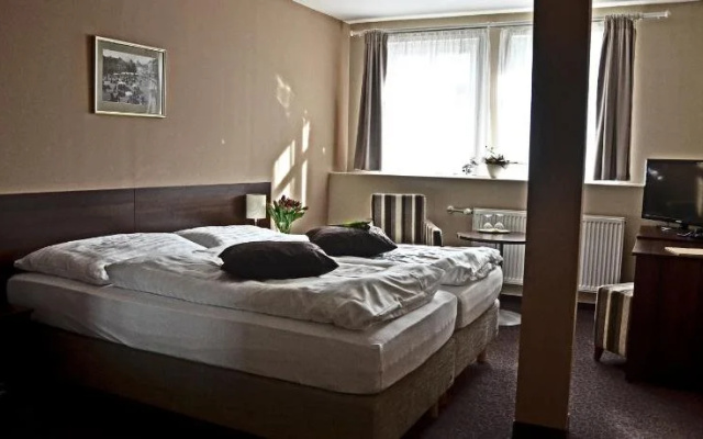 Hotel U Hradu
