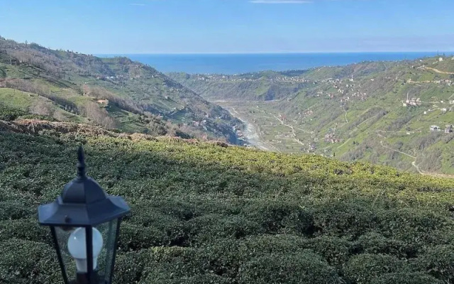 Kalivi Suit Bungalov