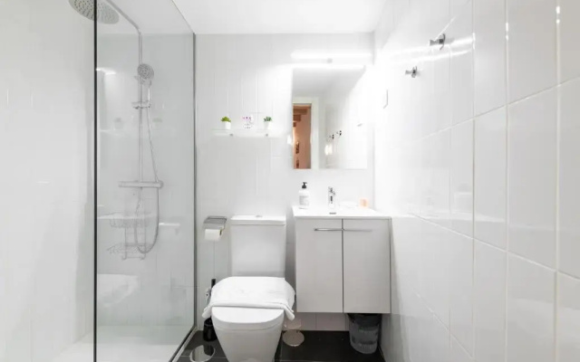 Duplex Lavapies 1BD