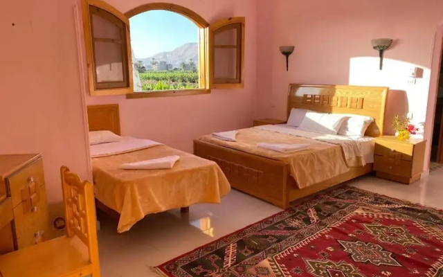 Elsanosy Family Guest House - Luxor