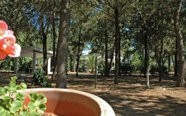 B&B La Pineta di Jovia