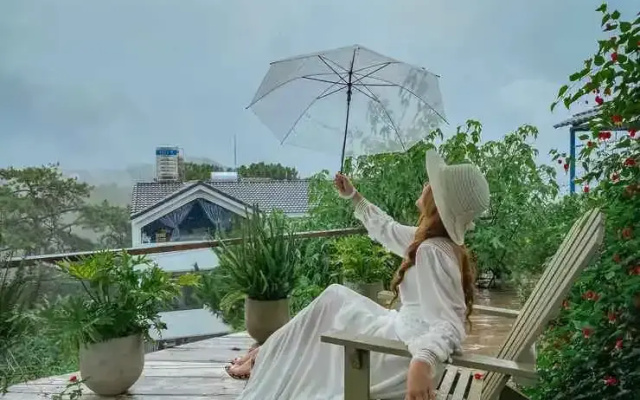 The Kupid - Dalat No Single