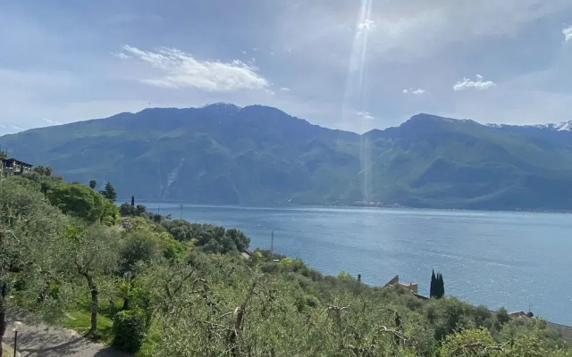 Apartment Villa in Limone Sul Garda