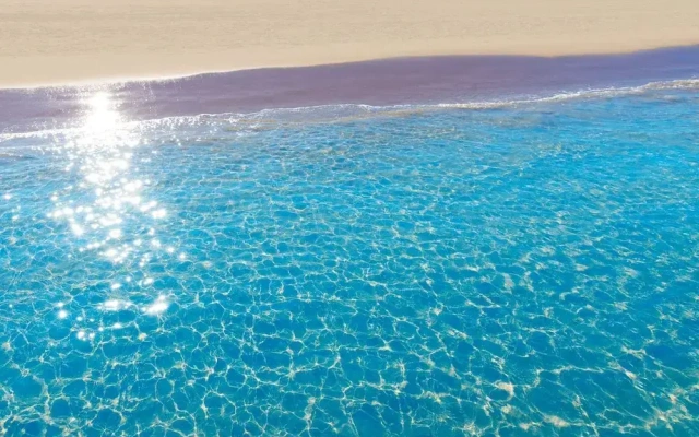 Tallarol in Grau i Platja