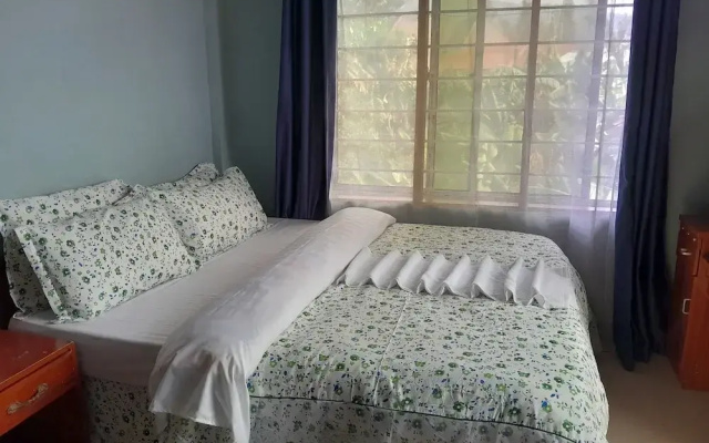 Highland Breeze Avacado Hotel