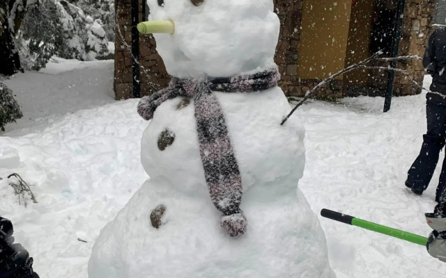 Snowstream 8