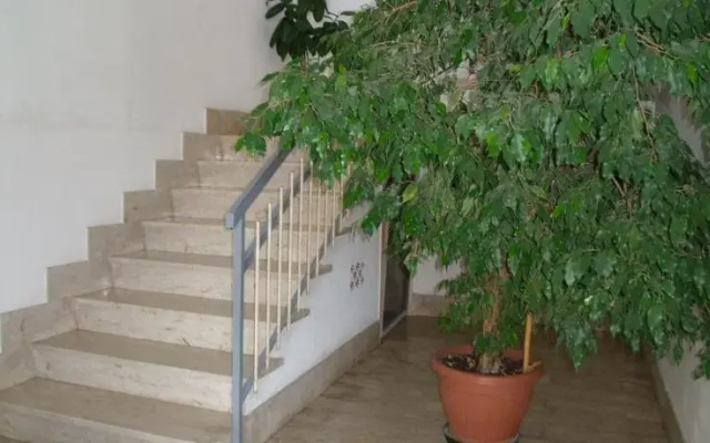 Casa Mia