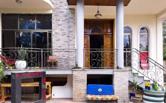 Mad Vervet Hostel