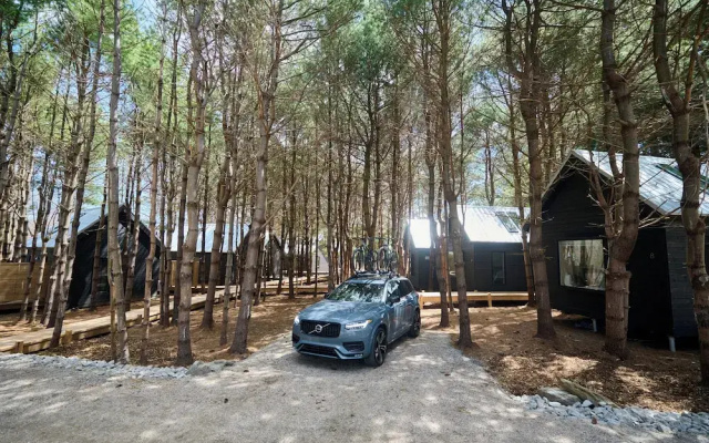 Black Forest Cabins