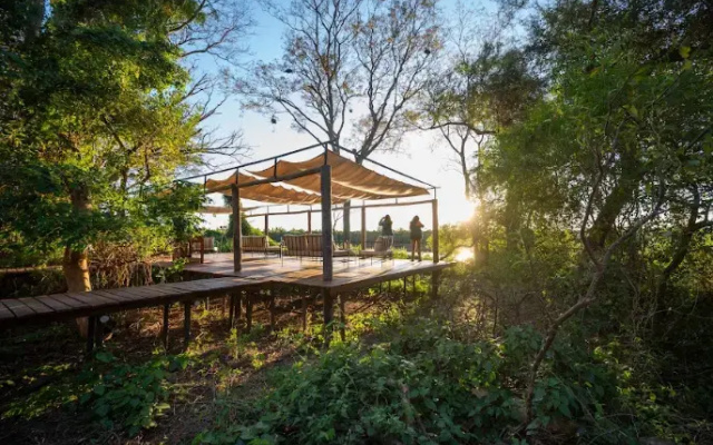 Glamping Los Palmares