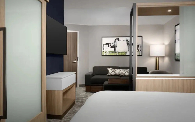 Springhill Suites by Marriott Lexington Fritz Farm