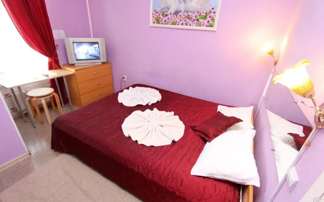 Geralda Ekonom otel' na Pushkinskoy 11