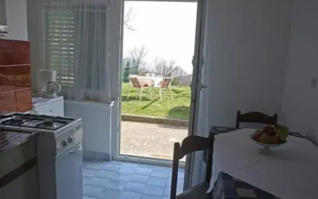 Apartment Branka