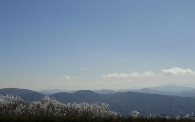 VCI - 4 Seasons at Beech Suite