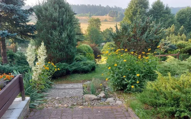 Jeleniec