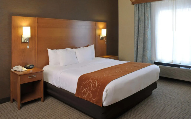 Comfort Suites Hotel and Conference Center