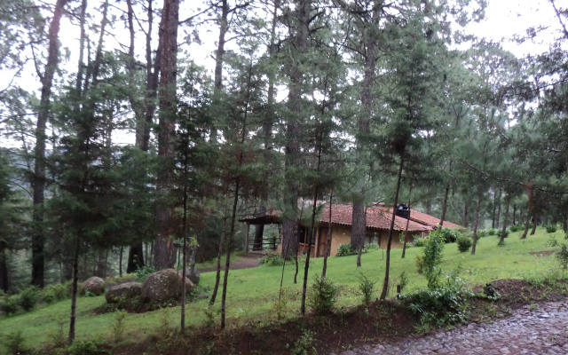 Cabañas El Pinar