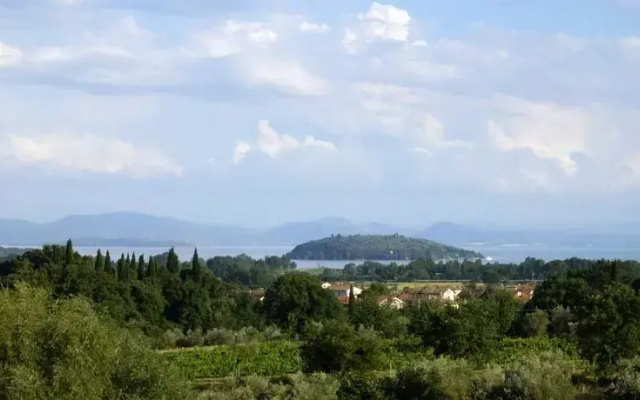Verdi Colline