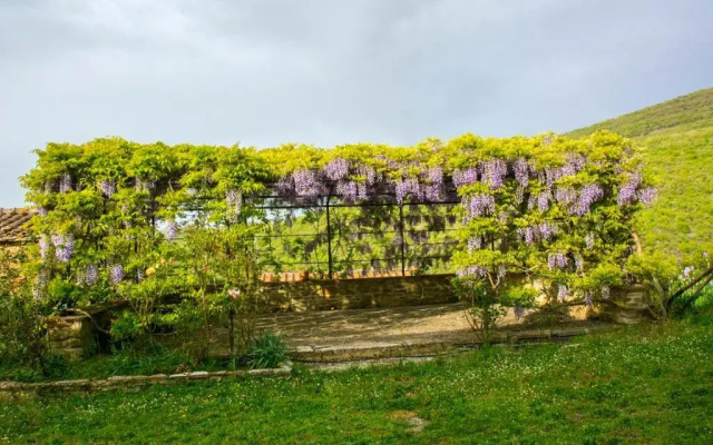 Borgo Solamore
