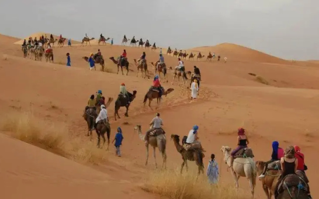 Bivouac Camel Trips