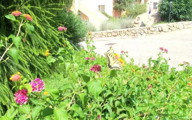 Saraceno Village Boschetto Holiday