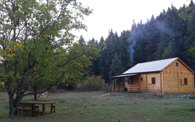 Wood Cabin by the River - for Nature Lovers