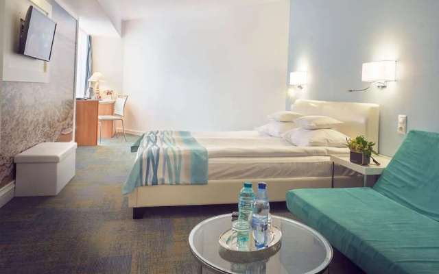 Ibis Constanta