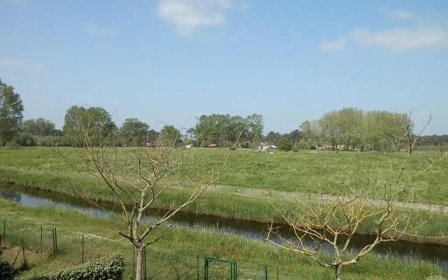 Appartement Vieux-Boucau-les-Bains, 3 pièces, 6 personnes - FR-1-379-89