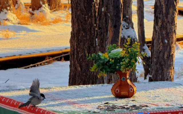 Hulunbergen River Reindeer Ji Homestay