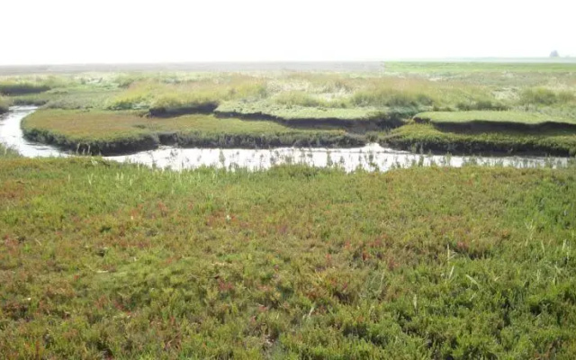Boerderij Natuurlijk Mooi