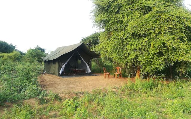 Отель Wild eco safari вид на фасад