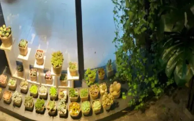 Guichao Theme Hotel