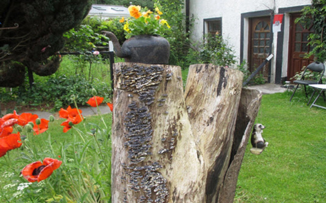 Pond House