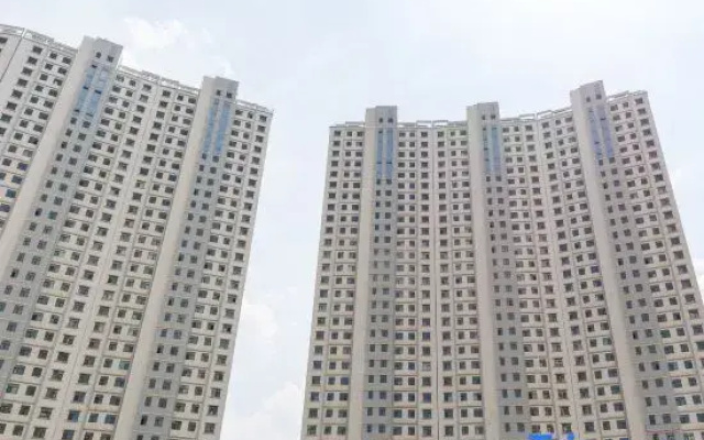 SHIGUANGWUGONGYU
