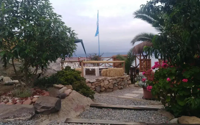 CABAñAS MORENA