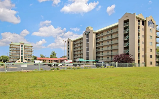 609 1bd 1 Bedroom Condo by RedAwning