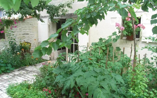 La Fleur de Vigne - Maison D'Hotes