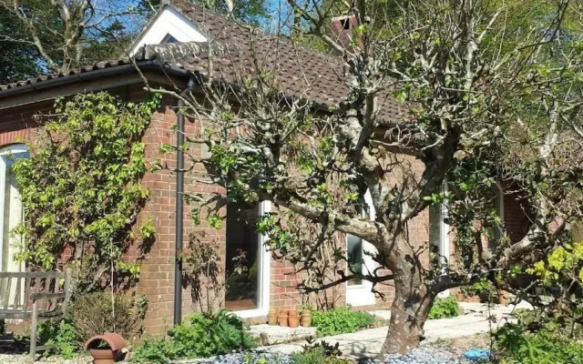 The Old Art Studio