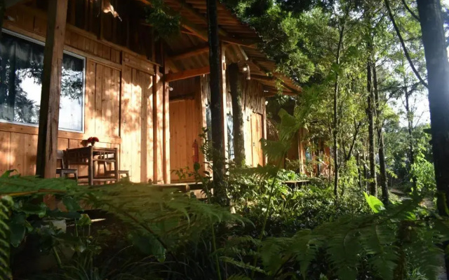 Sapa Jungle Pub  Homestay