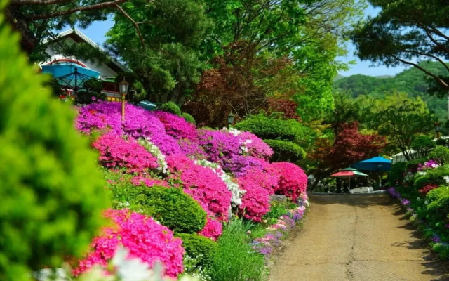 Gapyeong Flower Muji Pension