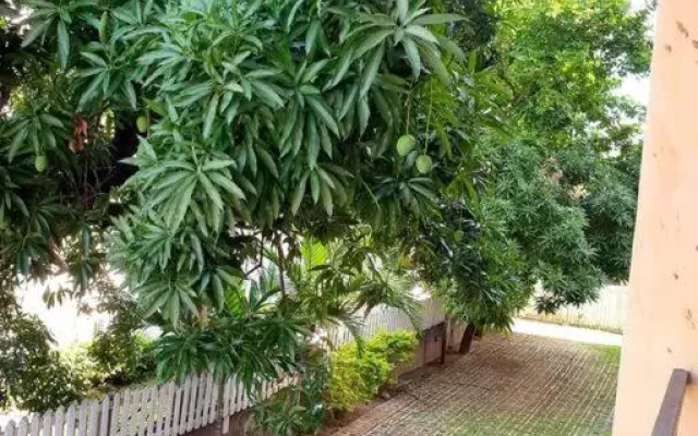 Central Upscale New Kingston Apt with pool