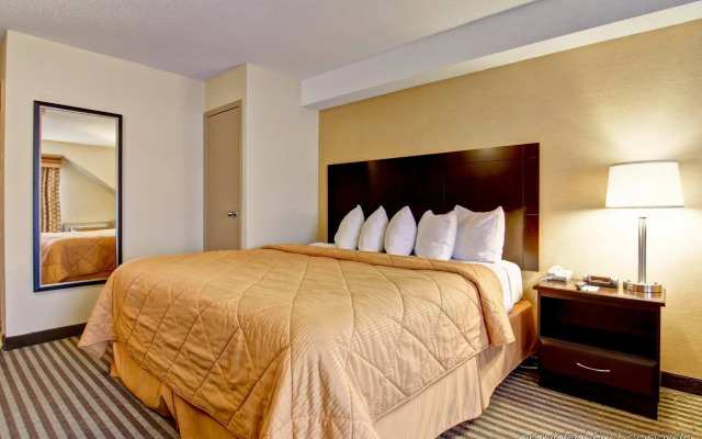 Comfort Inn East Scarborough