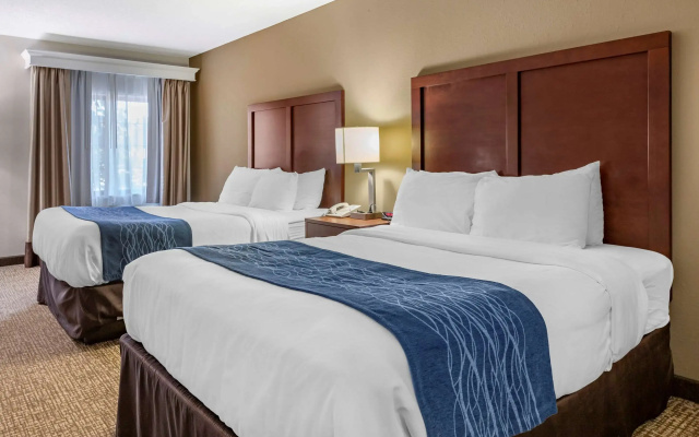 Comfort Inn Kalamazoo