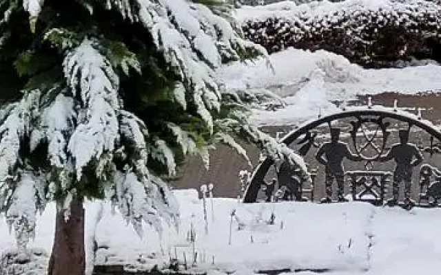 FeWo Harz Haennig 1